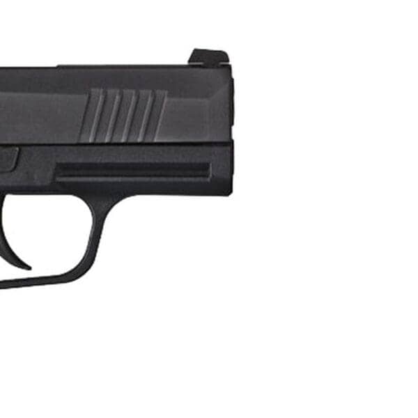 Sig Sauer P365 9mm Handgun with Night Sights - 365-9-BXR3