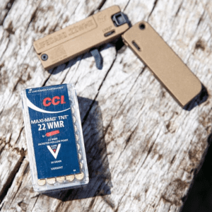 CCI 22 WMR AMMO